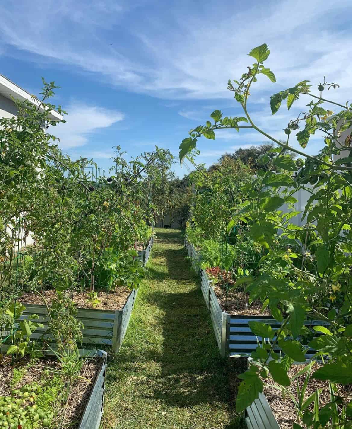 Landscape design example