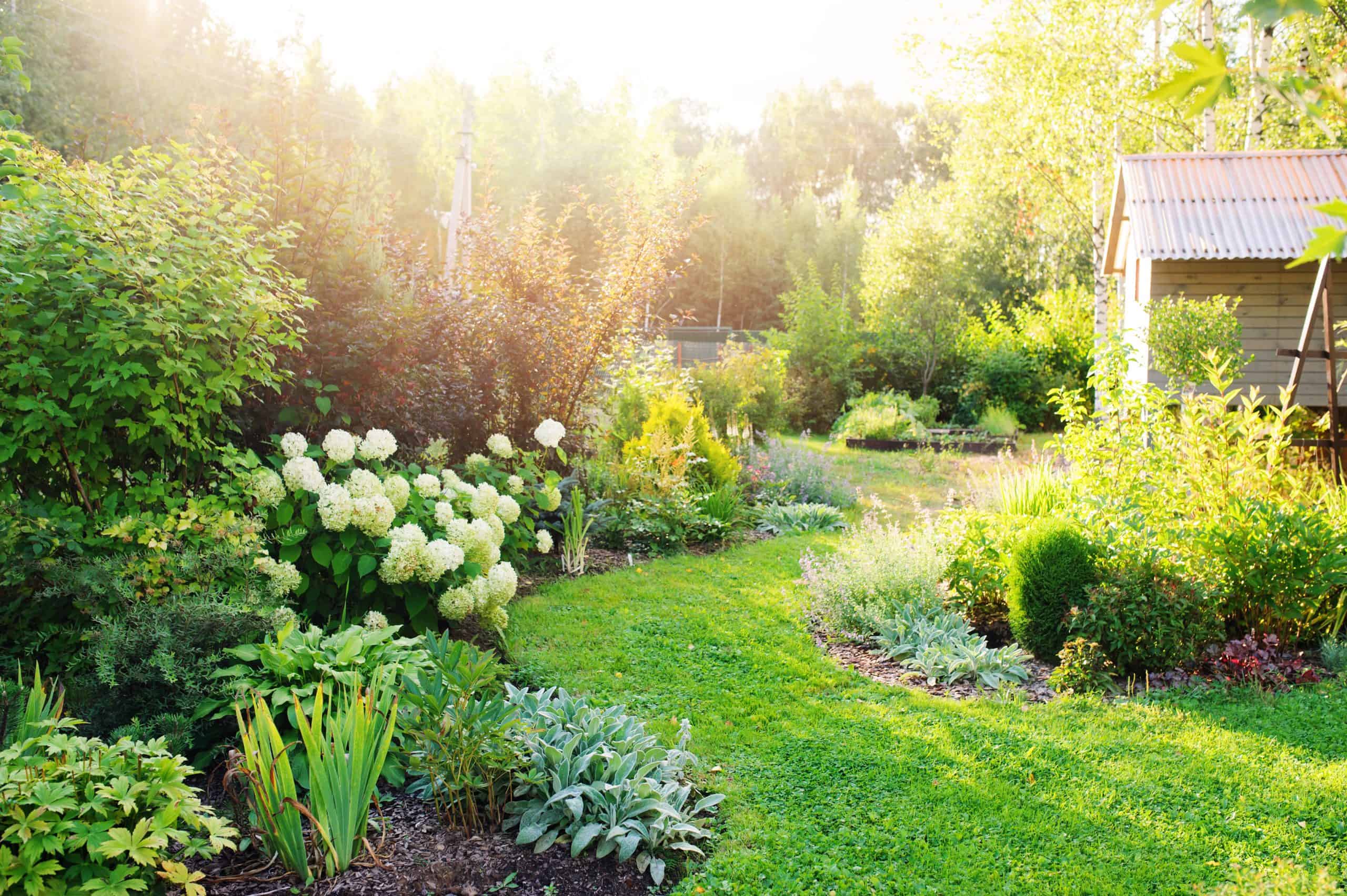 How to create a modern cottage garden