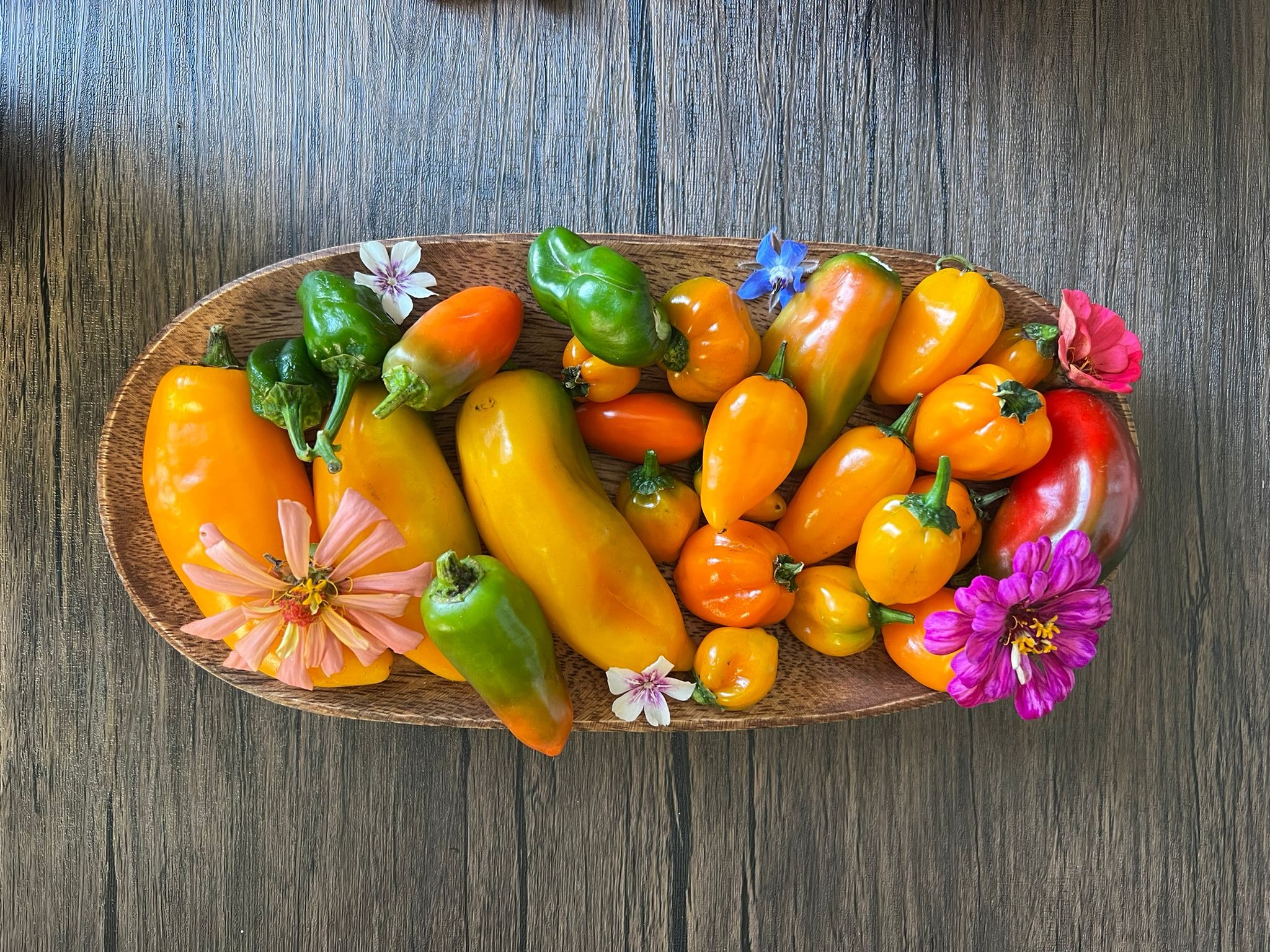 Growing Vegetables in Florida During Summer: A Guide